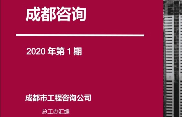 成都咨询首刊出炉